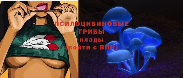 дмт Белокуриха