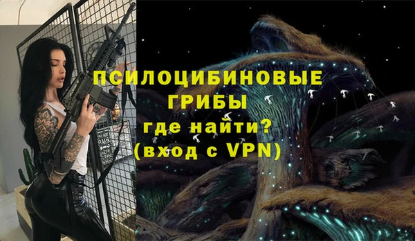 apvp Баксан