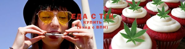 индика Киреевск