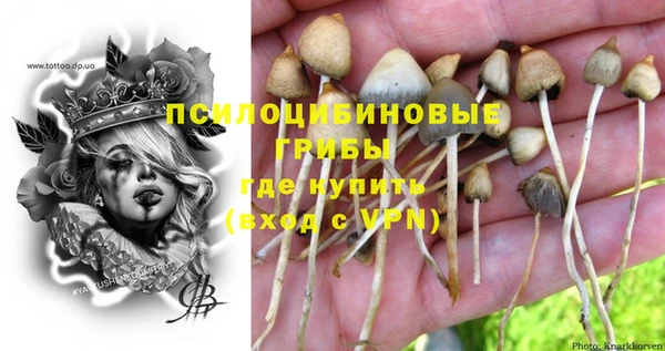 тгк Балабаново