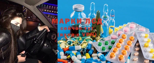 apvp Баксан